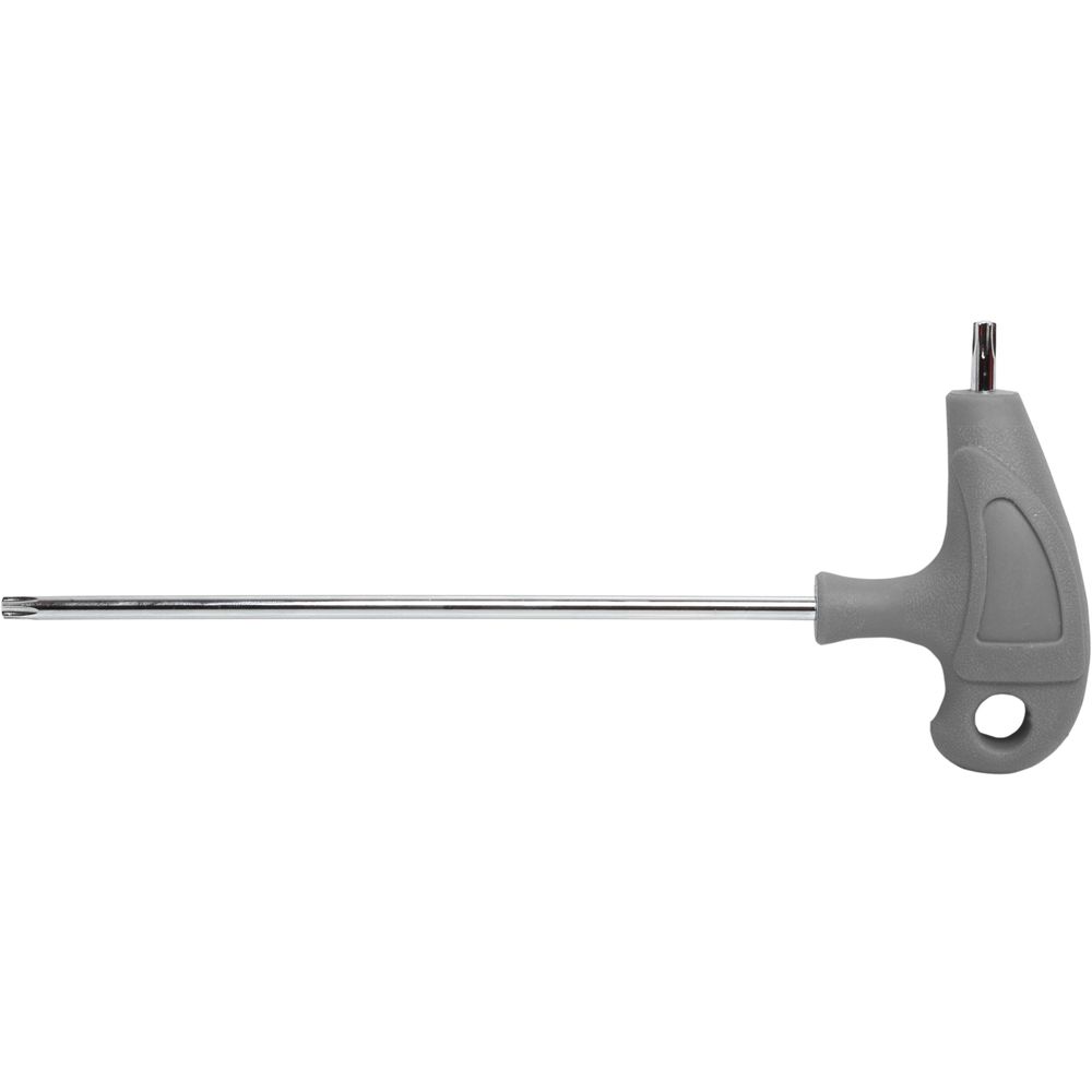 KLJUČ TORX SA RUPOM T40 S2 PROLINE  48544 slika 1