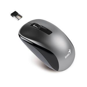 GENIUS NX-7010 Wireless Optical USB sivi miš
