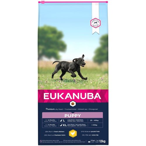 Eukanuba Puppy Large breed 12 kg slika 1