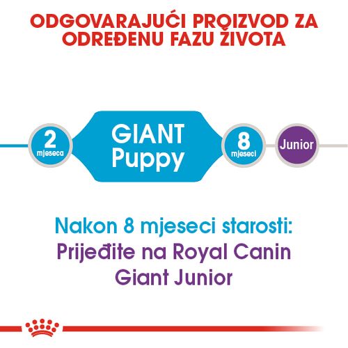 ROYAL CANIN SHN Giant PUPPY, potpuna hrana za pse, specijalno za štence divovskih pasmina (konačne težine > 45 kg)  do 8 mjeseci starosti, 15 kg slika 7