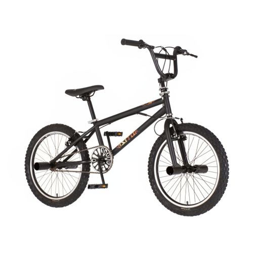 BMX202MTVVB/24AR5P1/S10" SCOUT BMX FREESTYLE slika 1