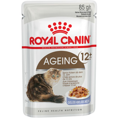 Royal Canin AGEING IN JELLY, vlažna hrana za mačke 85g slika 1