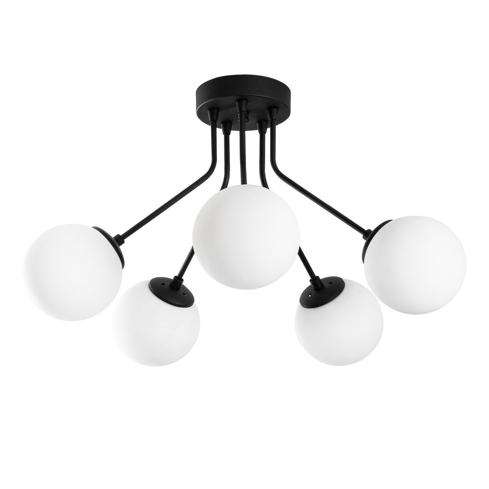 Orıon - Crni Luster 13960 slika 4