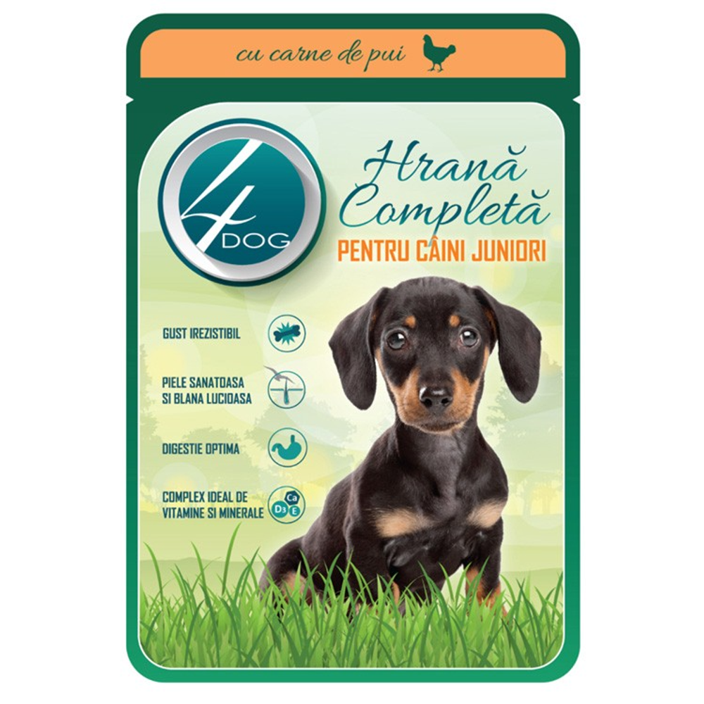 4Dog hrana za pse u umaku Junior Piletina 100g slika 1