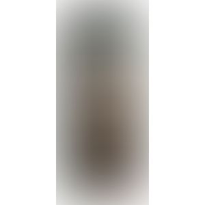 Masturbator - Pussy to Go vagina