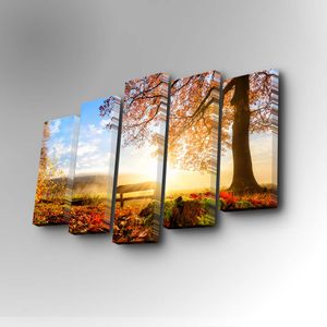 5PUC-030 Multicolor Decorative Canvas Painting (5 Pieces)