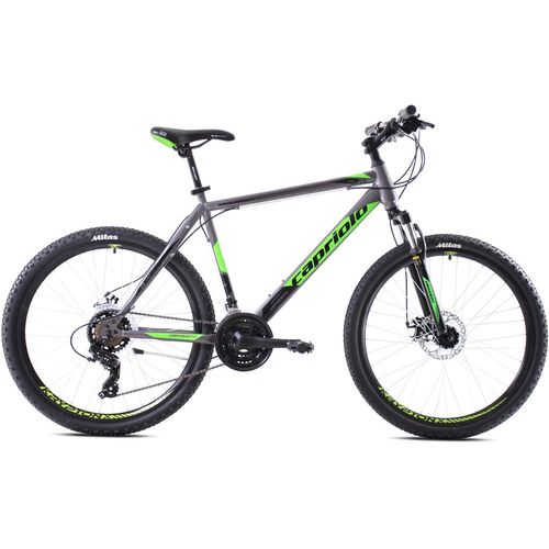 CAPRIOLO bicikl MTB OXYGEN 29'/21HT silver -gr slika 1