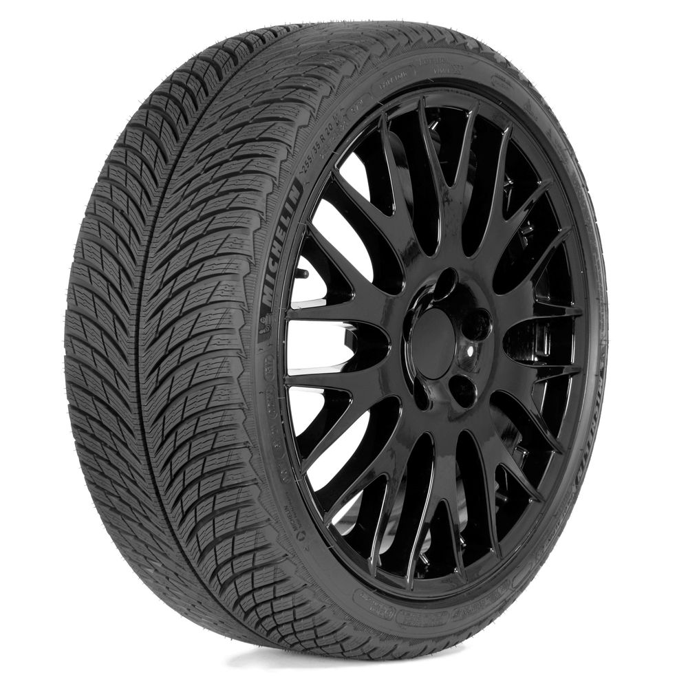 Michelin 295/30R20 101V PILOT ALPIN 5 MO1 XL slika 1