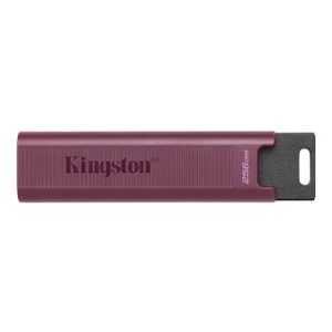 USB stick KINGSTON 1TB USB3.2 TypeA DataTraveler, DTMAXA/1TB