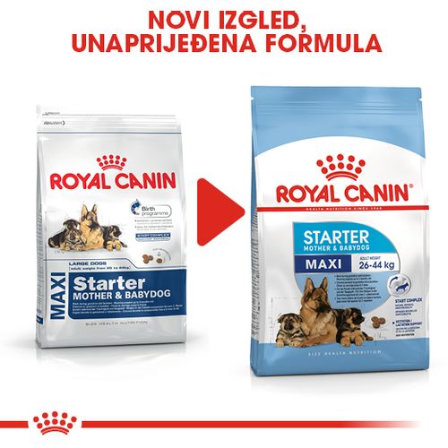 ROYAL CANIN SHN Maxi Starter, potpuna hrana za pse, specijalno za kuje  velikih pasmina (26-44 kg) i njihove štence, 15 kg slika 2