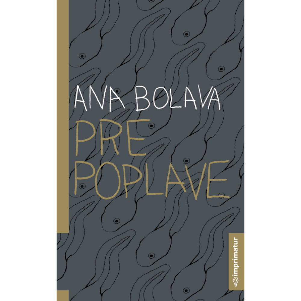 Ana Bolava "Pre poplave" slika 1
