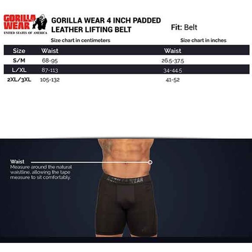 Gorilla Wear Kožni pojas za dizanje tegova 10 cm, Antracit slika 5