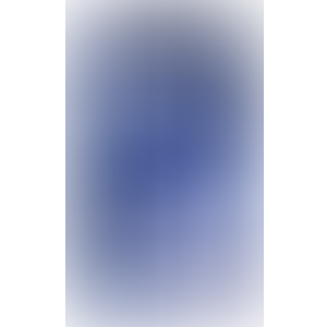 Crystal 3u1 dildo set