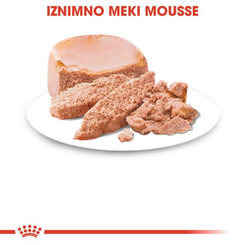 ROYAL CANIN SHN Starter Mousse, potpuna hrana za pse, namijenjena je štencima za odvikavanje od sisanja sve do kraja 2. mjeseca života te kujama tijekom zadnje trećine graviditeta i tijekom laktacije, 12x195 g slika 4