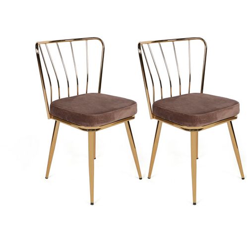 Yıldız-927 V4 Light Brown
Gold  Chair Set (4 Pieces) slika 4