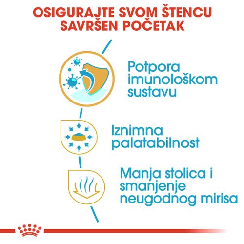 ROYAL CANIN BHN Chihuahua Puppy, potpuna hrana za pse, posebno za štence pasmine čivava, do 8 mjeseci starosti, 500 g slika 6