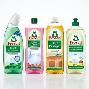Frosch Eco Home Care Set 4/1 – Sredstva za čišćenje doma i ručno pranje suđa