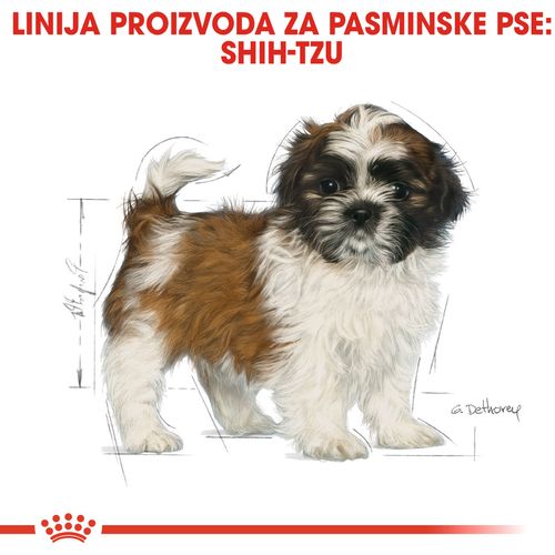 ROYAL CANIN BHN Shih Tzu PUPPY, potpuna hrana za pse, posebno za štence pasmine ši-cu u dobi do 10 mjeseci, 500 g slika 4