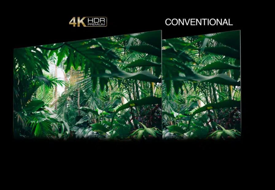 4K HDR PREMIUM - pogledajte detalje slike, svjetlinu i precizne žive boje