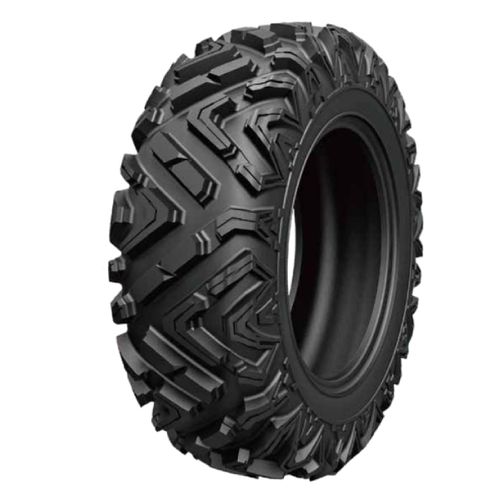 Arisun 25X10R12 BRUISER AR69 6PR TL Kvad slika 1