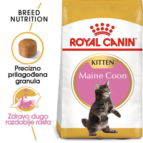 ROYAL CANIN FBN Maine Coon KITTEN, potpuna i uravnotežena hrana za mačke, specijalno za mačiće pasmine Maine Coon do 15 mjeseci starosti, 2 kg slika 5