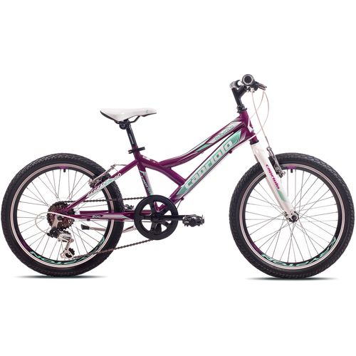 CAPRIOLO bicikl MTB DIAVOLO 200/6HT-violet whi slika 1