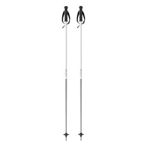 Fischer Štapovi za skijanje One Way GT 16 Ghost 110cm