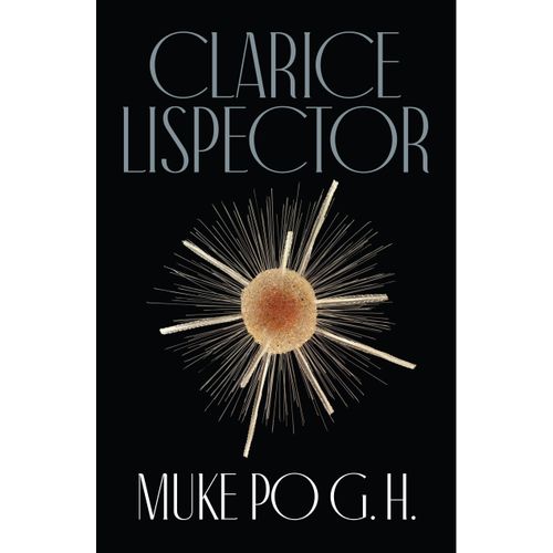 Muke po G.H., Clarice Lispector slika 1