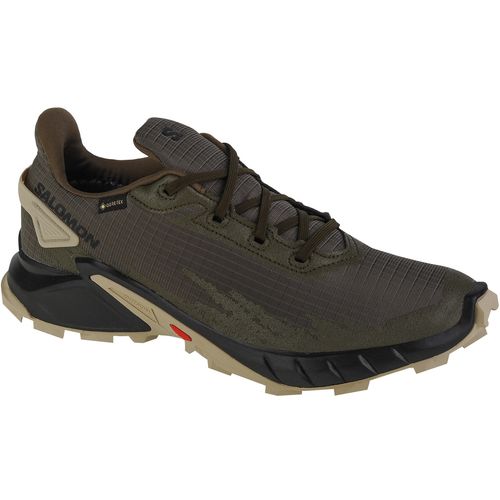 Salomon alphacross 4 gtx 471169 slika 1