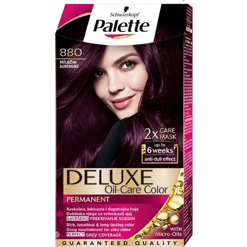 Palette Deluxe Farba za kosu 4-99 (880) Patlidžan slika 1