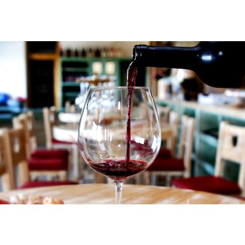 MasVin EKO Merlot 0,75 L - vrhunsko crveno vino  slika 2