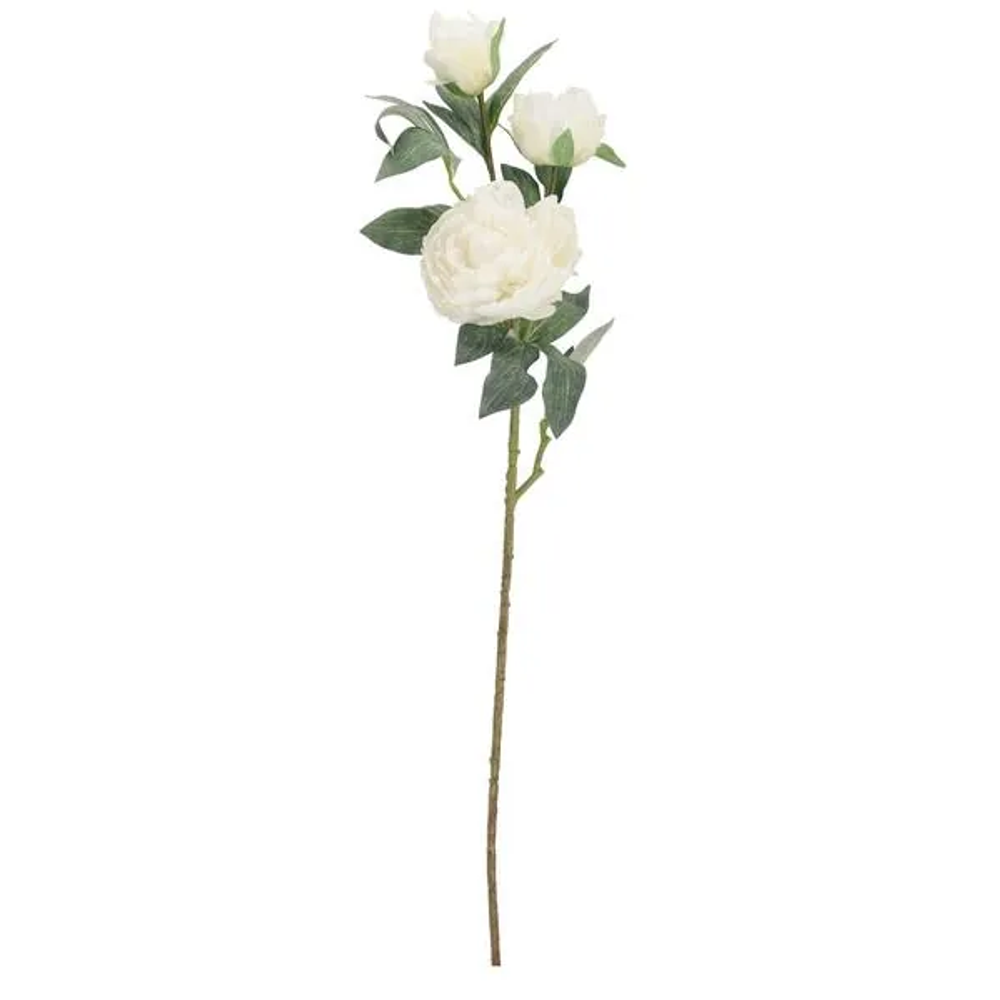 Bizzotto Peonija 90 cm PVC Evalyn slika 1