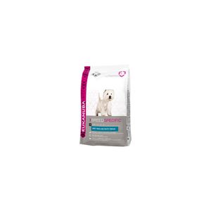 WEST HIGHLAND WHITE TERRIER