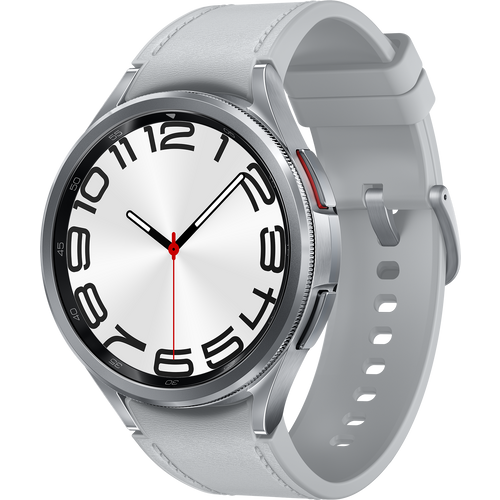 Samsung Watch 6 Classic Silver (ZS) LTE SM-R965FZSAEUC slika 1