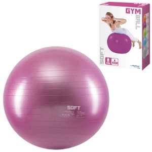 Gimnastička lopta Gym Soft 55cm