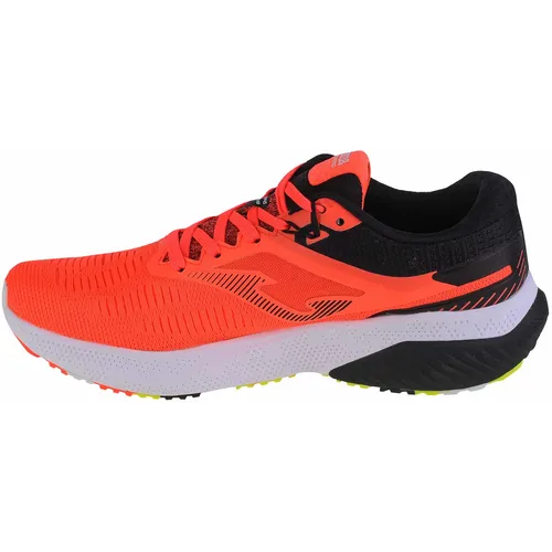 Joma r.hispalis men 2307 rhisps2307 slika 2