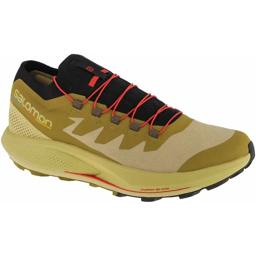 Salomon pulsar trail-pro 415936 slika 5