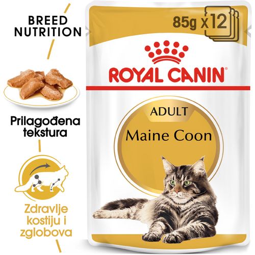 ROYAL CANIN FBN Maine Coon, potpuna i uravnotežena mokra hrana u umaku za mačke, specijalno za odrasle mačke pasmine Maine Coon starije od 15 mjeseci, 12x85 g slika 5