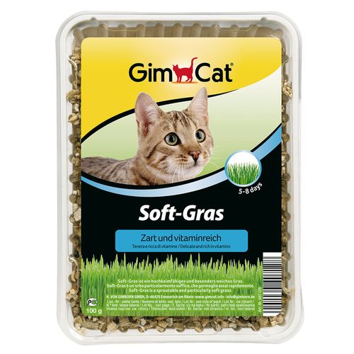 Gimborn GimCat trava za mačke Soft, 100 g slika 1