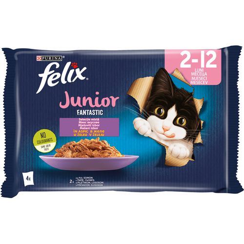 FELIX Fantastic JUNIOR Mješoviti izbor, potpuna hrana za kućne ljubimce, za mačiće, mokra hrana s piletinom u želeu i s lososom u želeu, 4x85g slika 1