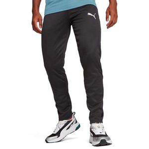 Puma Trenerka D.D. Puma Evostripe Warm Pants Za Muškarce