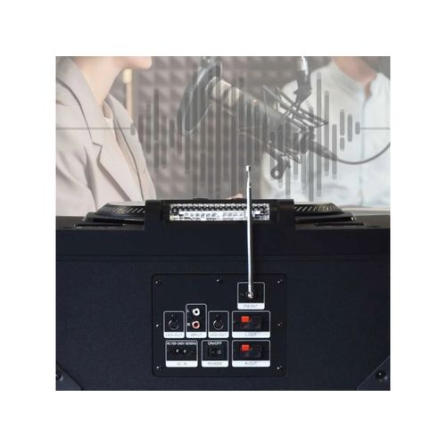 MANTA karaoke, 100W, modularne, FM, BT, USB, SD, bež mik, daljinsk, crni SPK5520 slika 9