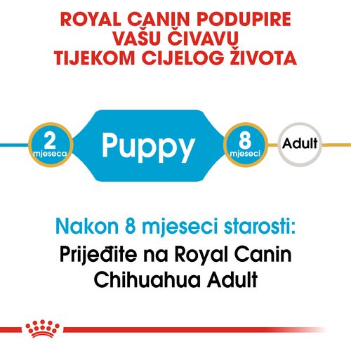 ROYAL CANIN BHN Chihuahua Puppy, potpuna hrana za pse, posebno za štence pasmine čivava, do 8 mjeseci starosti, 500 g slika 8