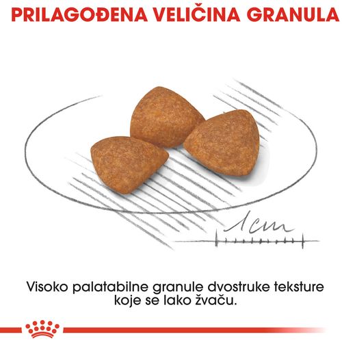 ROYAL CANIN SHN Extra Small Ageing +12, potpuna hrana za pse vrlo malih pasmina (do 4 kg konačne težine) starije od 12 godina, 1,5 kg slika 7