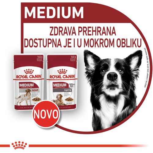 ROYAL CANIN SHN Medium ageing 10+ vrećice za pse, potpuna hrana za starije pse srednje velikih pasmina (od 11 do 25 kg), stariji od 10 godina, 10x140 g slika 2