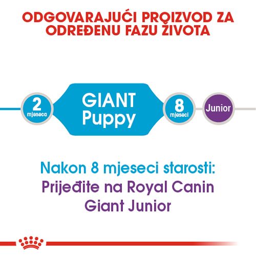 ROYAL CANIN SHN Giant PUPPY, potpuna hrana za pse, specijalno za štence divovskih pasmina (konačne težine > 45 kg)  do 8 mjeseci starosti, 15 kg slika 8