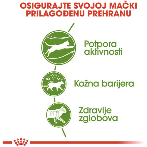 ROYAL CANIN FHN Outdoor, potpuna i uravnotežena hrana za mačke namijenjena aktivnim mačkama koje žive pretežno na otvorenom, 400 g slika 7