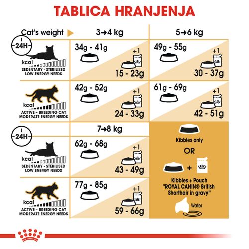 ROYAL CANIN FBN British Shorthair, potpuna i uravnotežena hrana za odrasle mačke, specijalno za britanske krtkodlake mačke starije od 12 mjeseci, 400 g slika 3