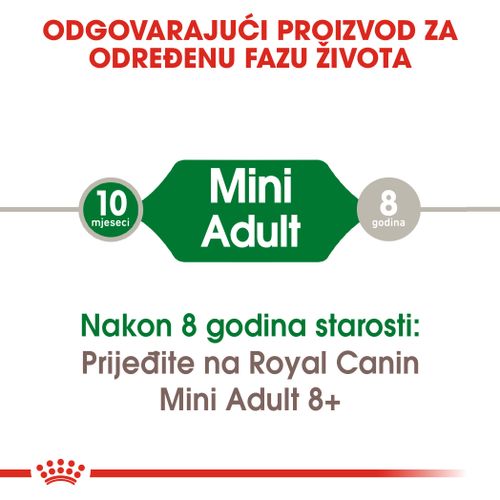 ROYAL CANIN SHN Mini Adult, potpuna hrana za pse, za odrasle pse malih pasmina (do 10 kg) starije od 10 mjeseci, 4 kg slika 8