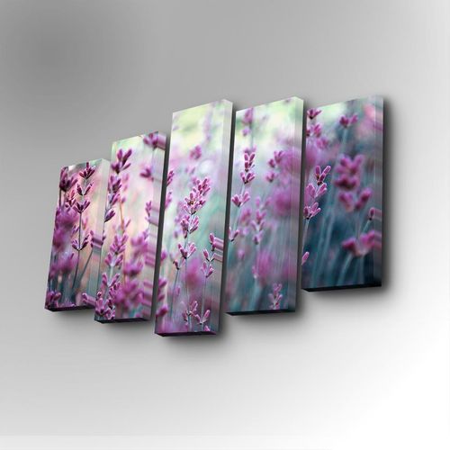 5PUC-053 Multicolor Decorative Canvas Painting (5 Pieces) slika 1